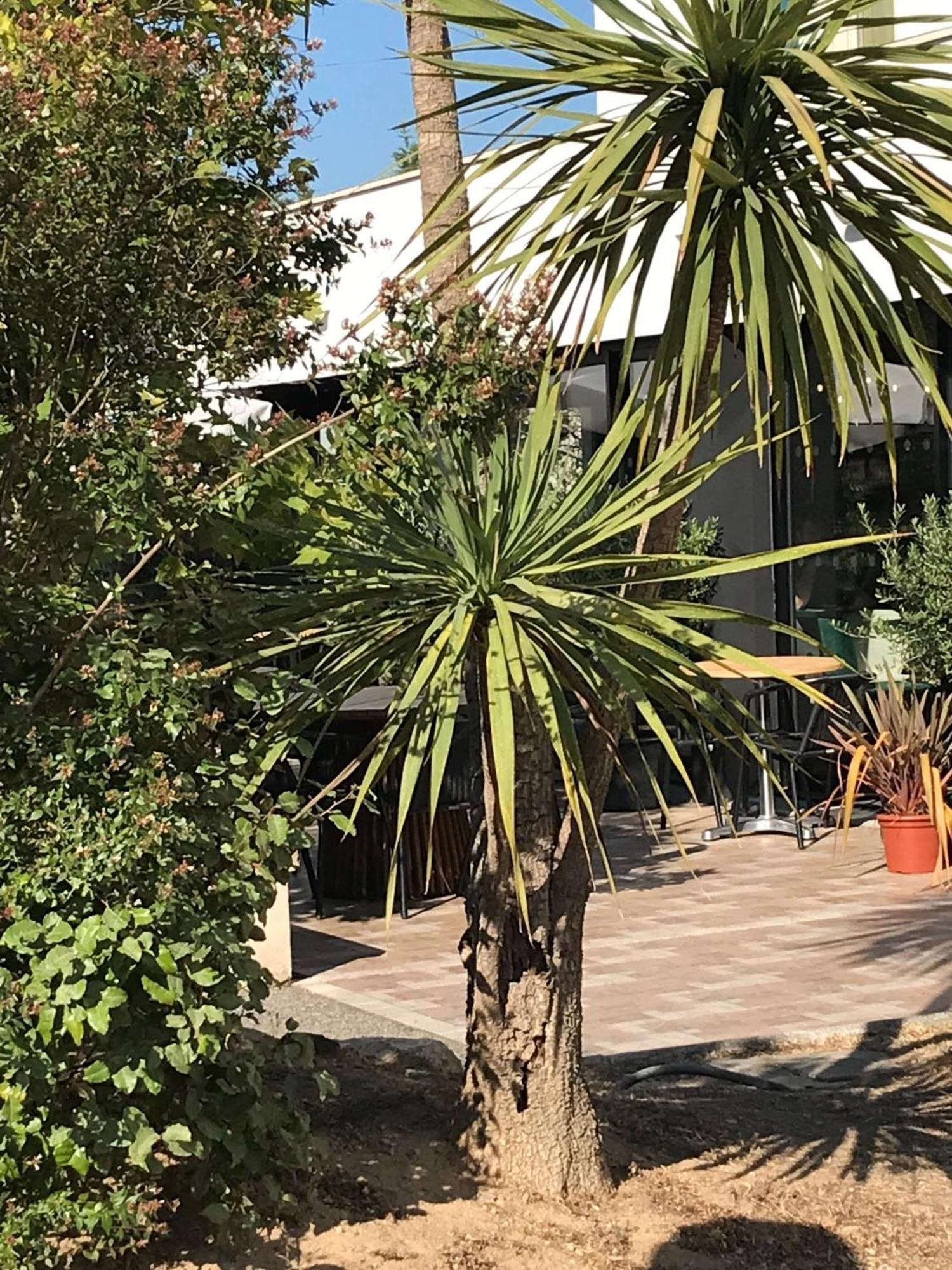 Brit Hotel Marseille Aeroport Mirabeau 외부 사진